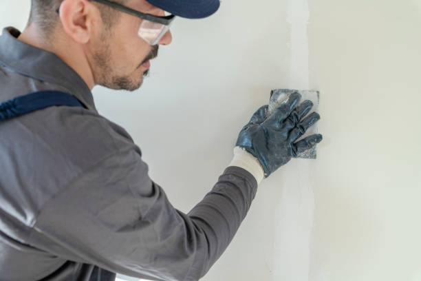 Best Drywall Sanding and Smoothing  in Langston, OK